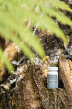 Load image into Gallery viewer, NOBILETIN SUPPLEMENT